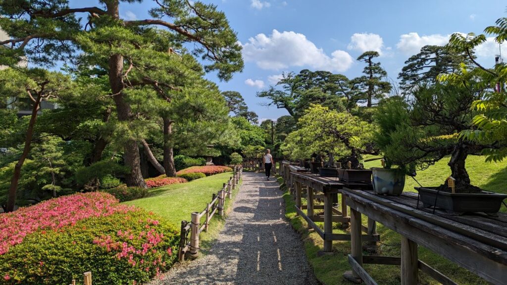 se balader dans un parc de Tokyo est un incontournable