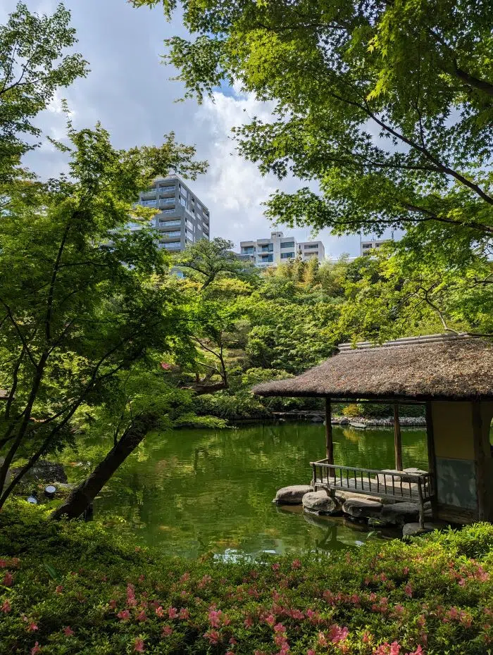 Les parcs de Tokyo, activités incontournables au Japon