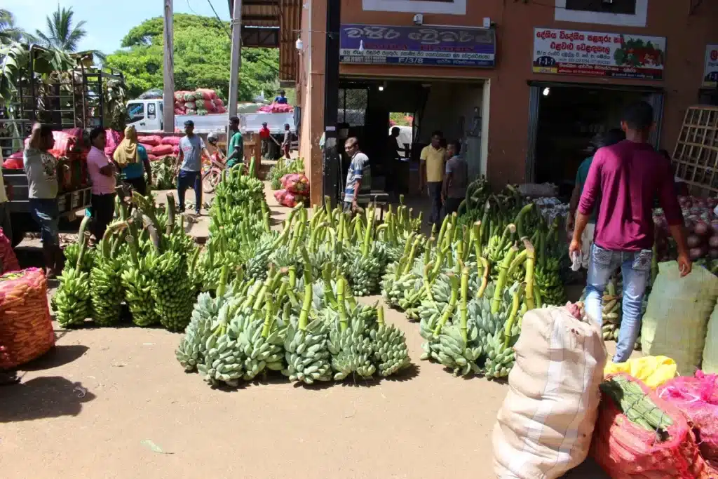 Marché de Dambulla