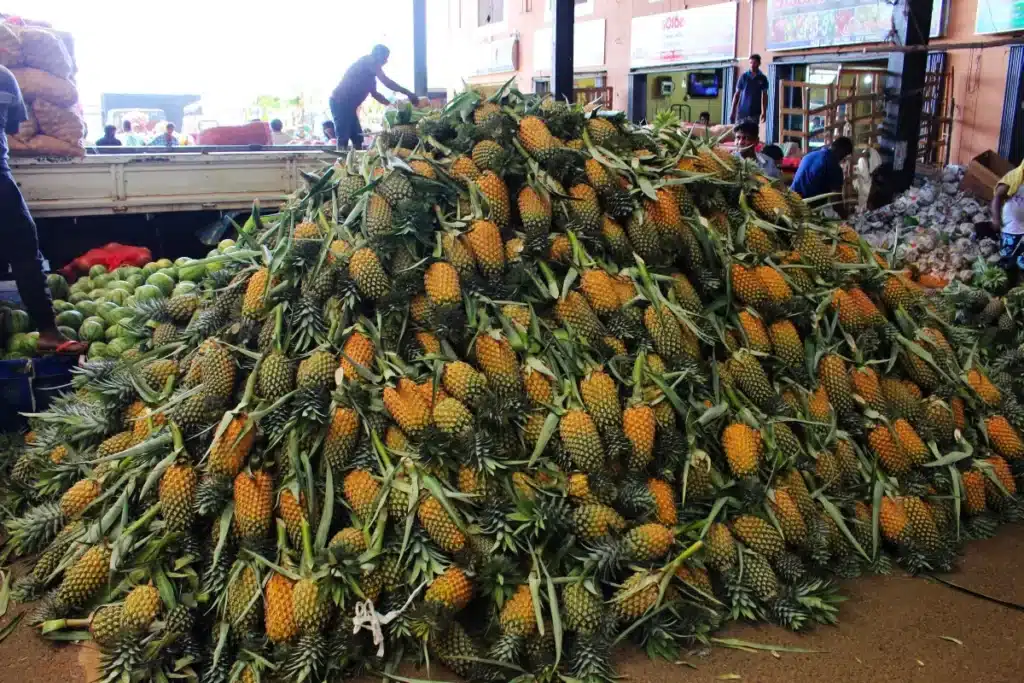 Marché aux gros de Dambulla