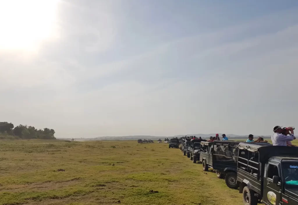 Faire un safari à Kaudulla c'est aussi voir des jeeps