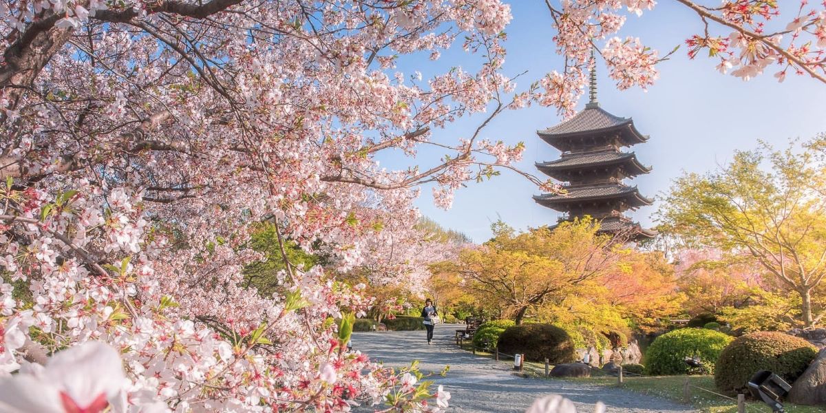Que faire a Kyoto au Japon