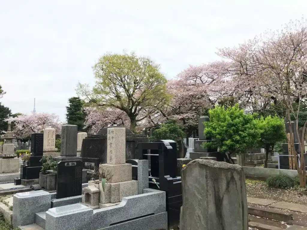 Les cimetières et les cerisiers en fleurs, un incontournable à Tokyo