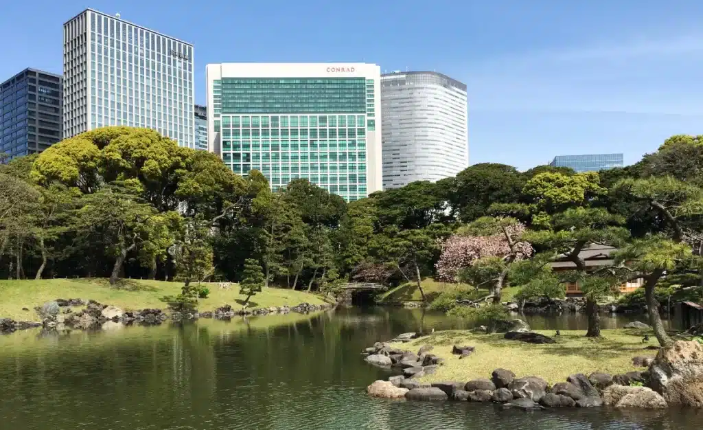 Se promener dans un parc, activité incontournable à Tokyo