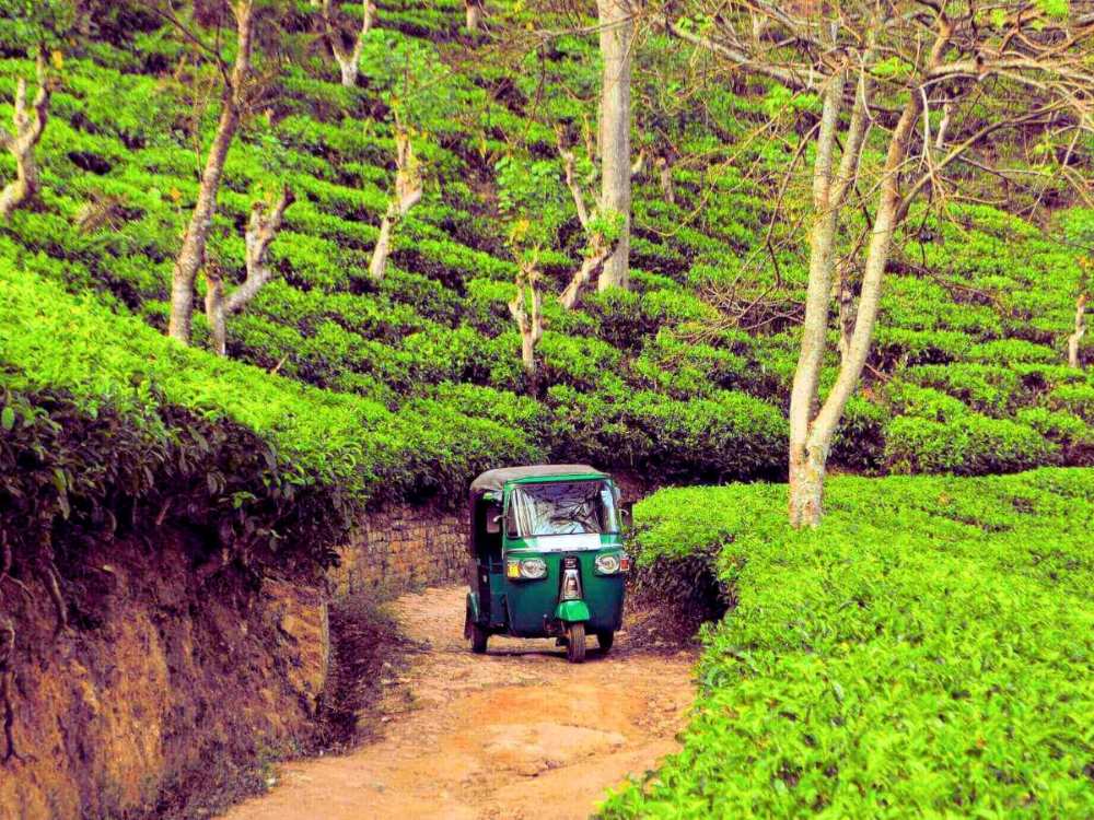 Budget au sri lanka : se déplacer en tuk-tuk
