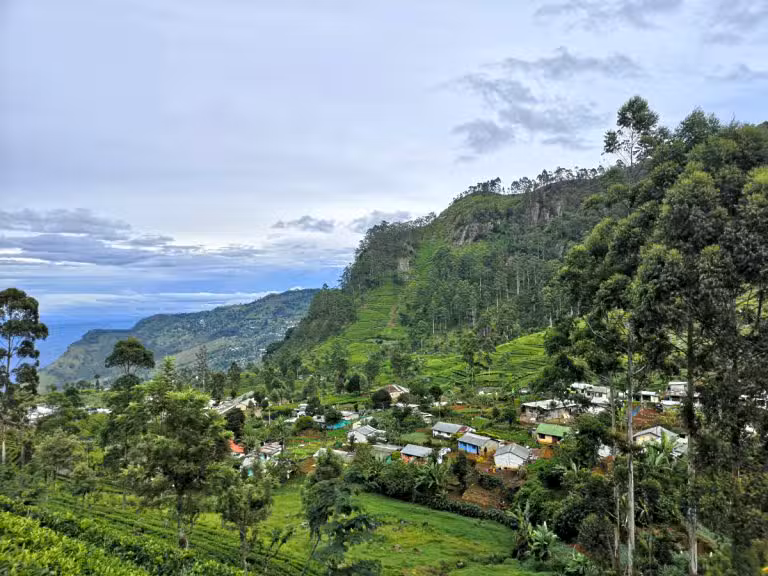 Un village de cueilleuse de thé à haputale