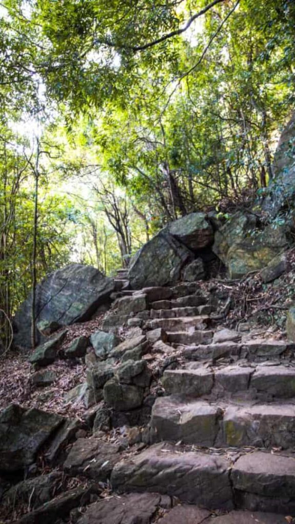Les marches au rocher de Pidurangala
