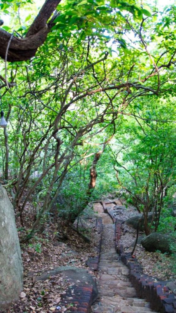 Ascension dans la forêt de Pidurangala