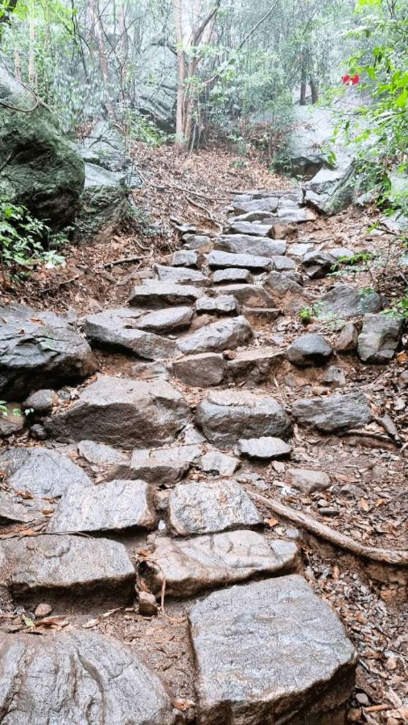 Le chemin du rocher de Pidurangal