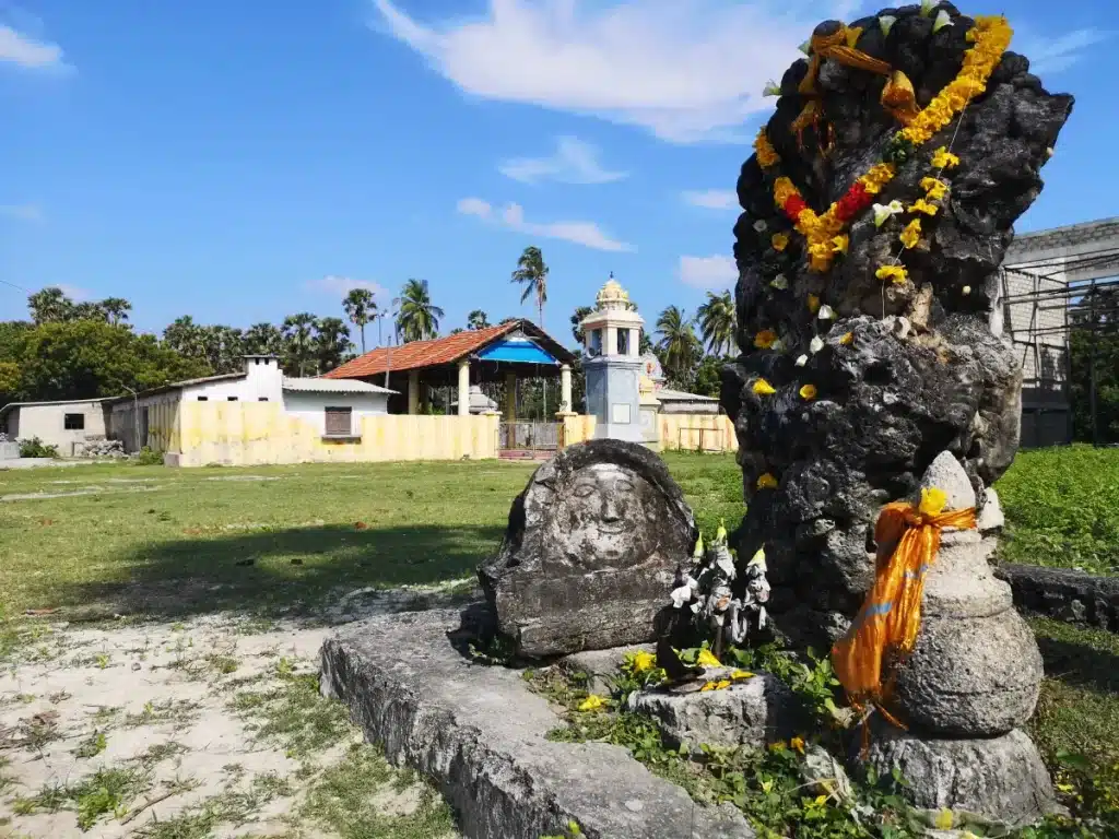 La « growing stone » sur l'île de Delft