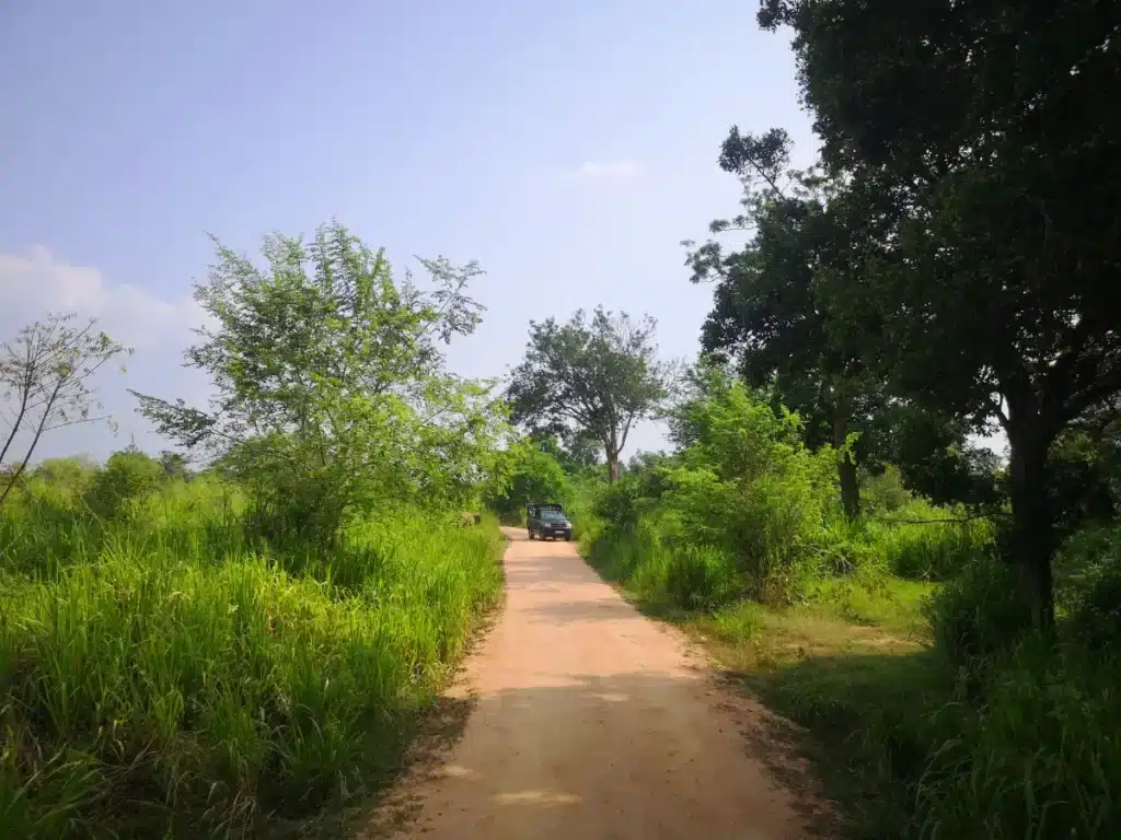 Le chemin dans le parc Hurulu