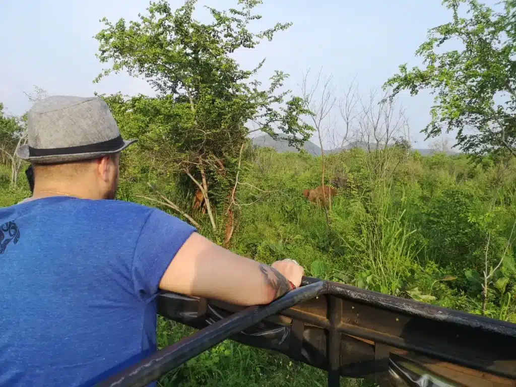 Juju observe les éléphants du Sri Lanka