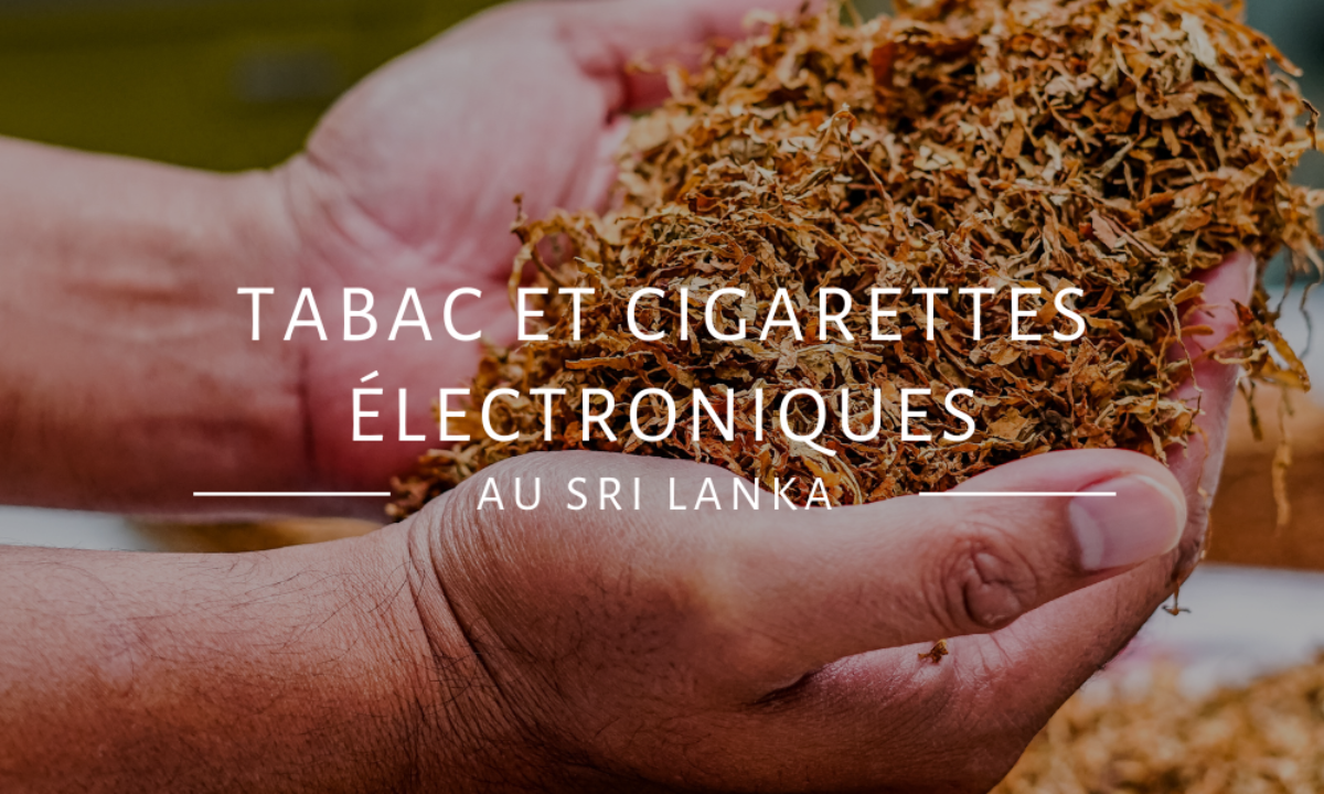 elfbar elfa master akku Vape in Sri Lanka (Price, Availability & Concerns) main image 0