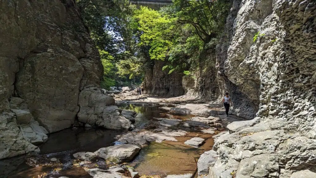 Une randonnée sur l'île de Jeju