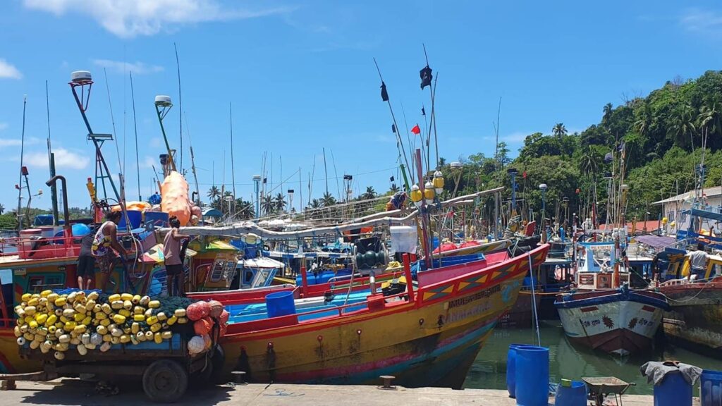 Les bateaux de pêcheurs à Mirissa