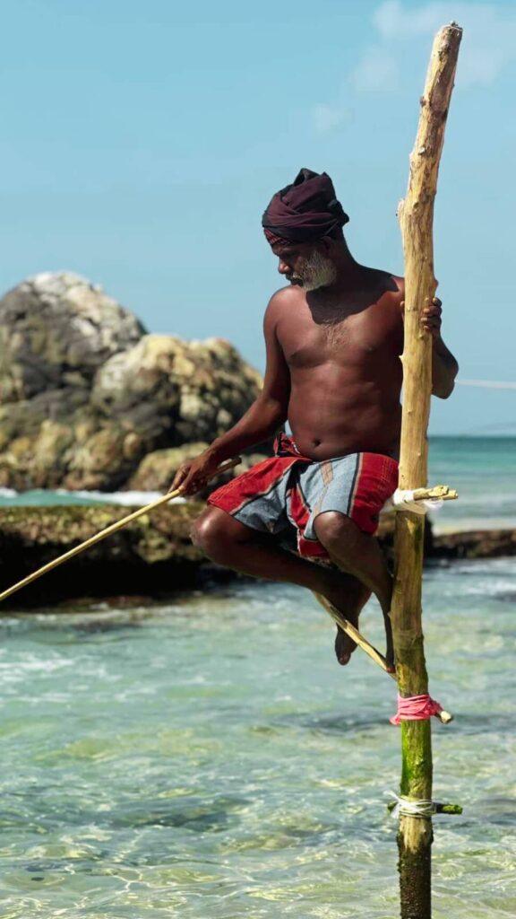 Que faire à Mirissa ? Observer les pêcheurs sur échasse