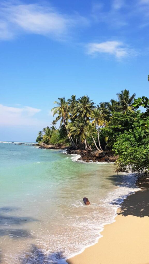 Plage de mirissa