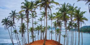 Que faire à Mirissa ? Le guide complet