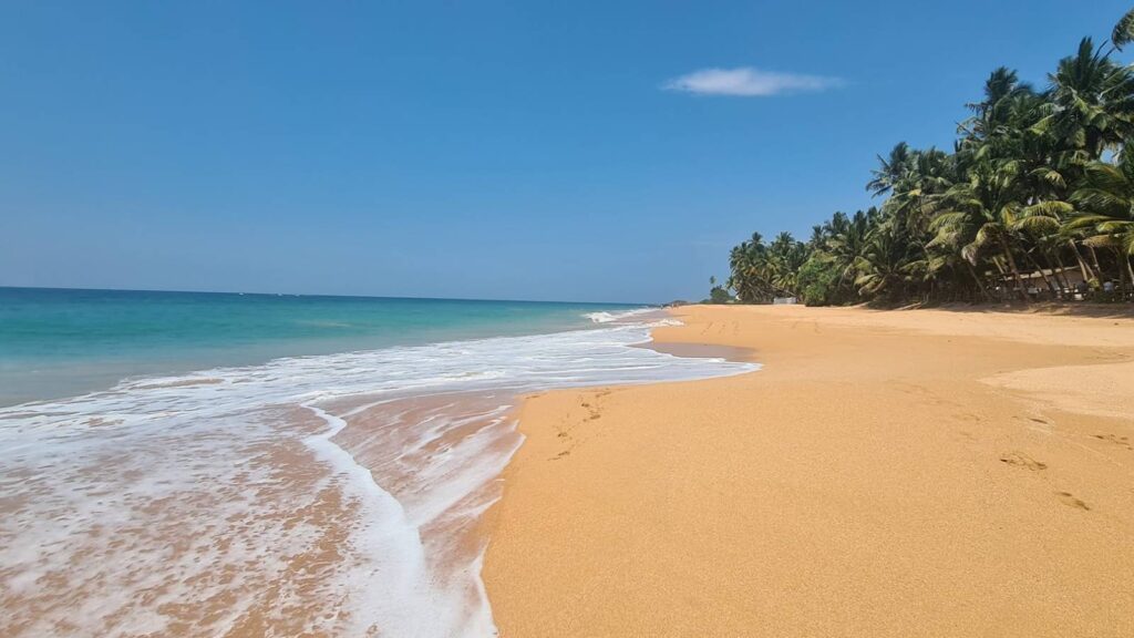 Les plages du sud du Sri Lanka