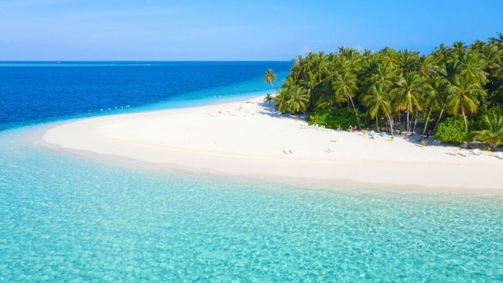 Sable blanc et cocotiers aux Maldives