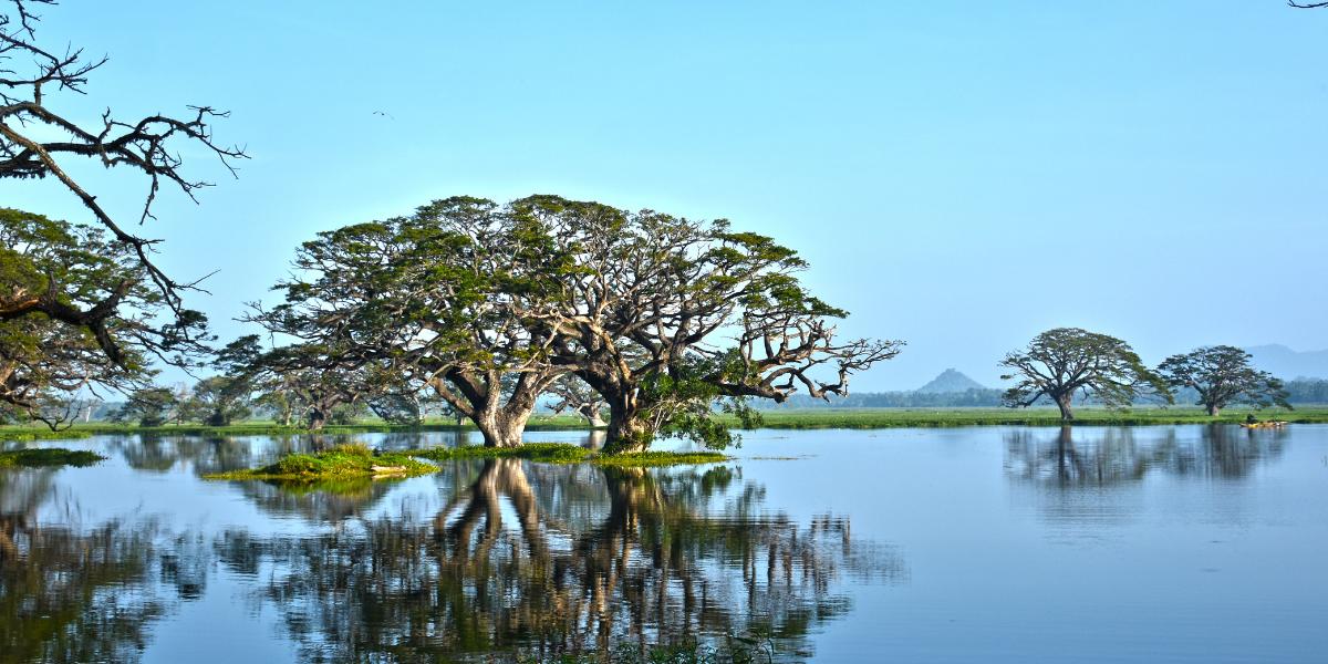 Que faire à Tissamaharama ?
