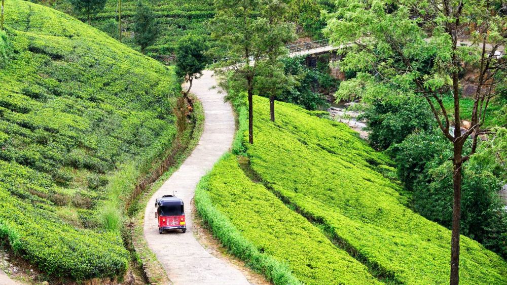 Se déplacer au Sri Lanka en tuk-tuk