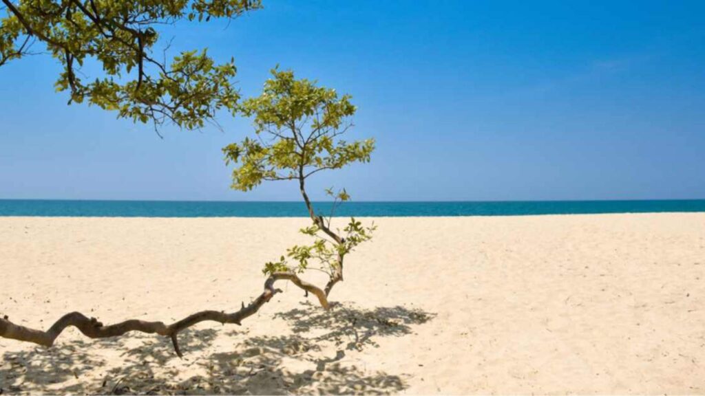 Les plages de Kalpitiya