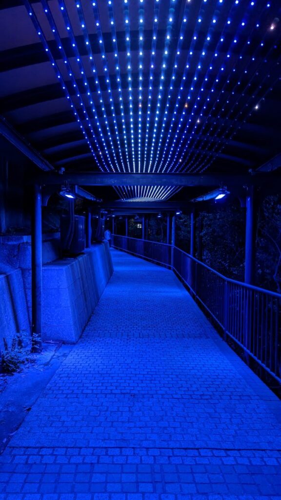 Mont inasa à Nagasaki