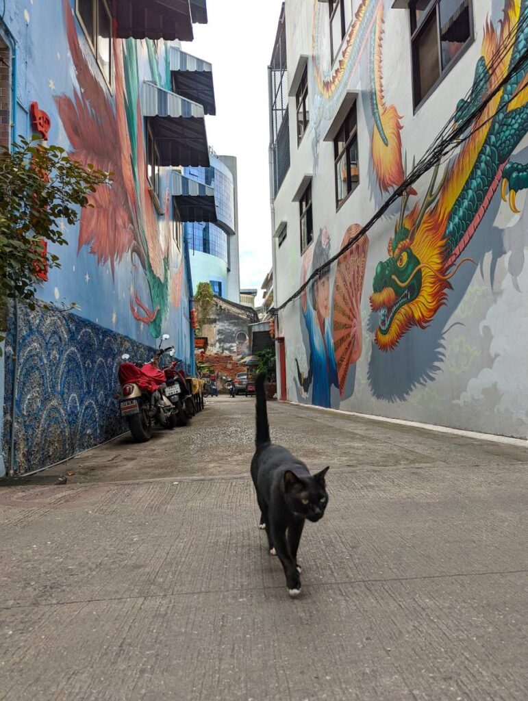 Visiter Chinatown à Bangkok