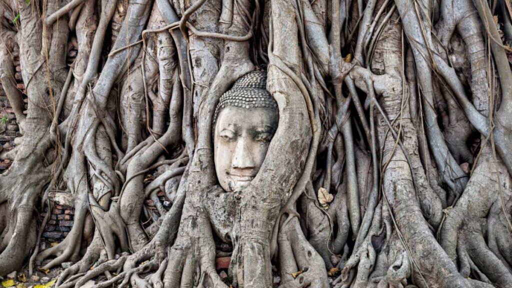 Que faire à Bangkok ? Visiter Ayutthaya