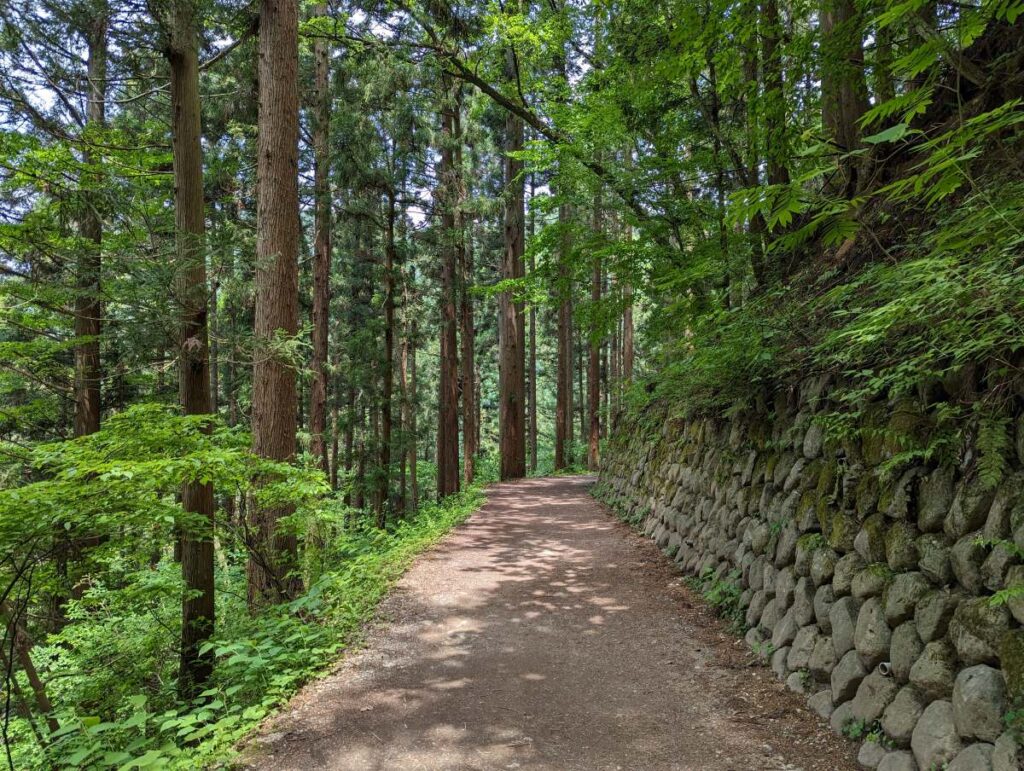 La forêt qui mène au parc