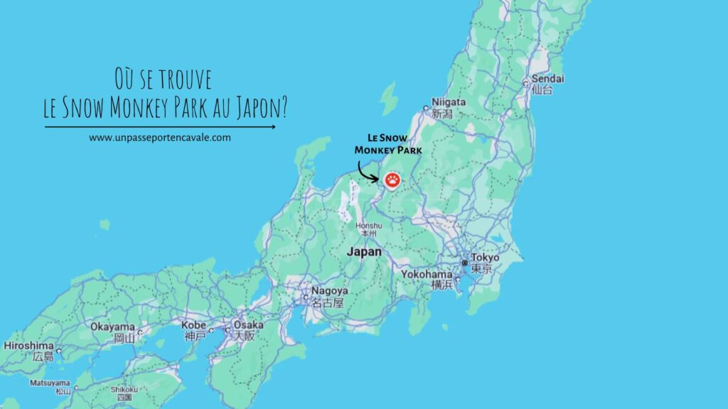Où se situe le parc aux singes des neiges au Japon ?