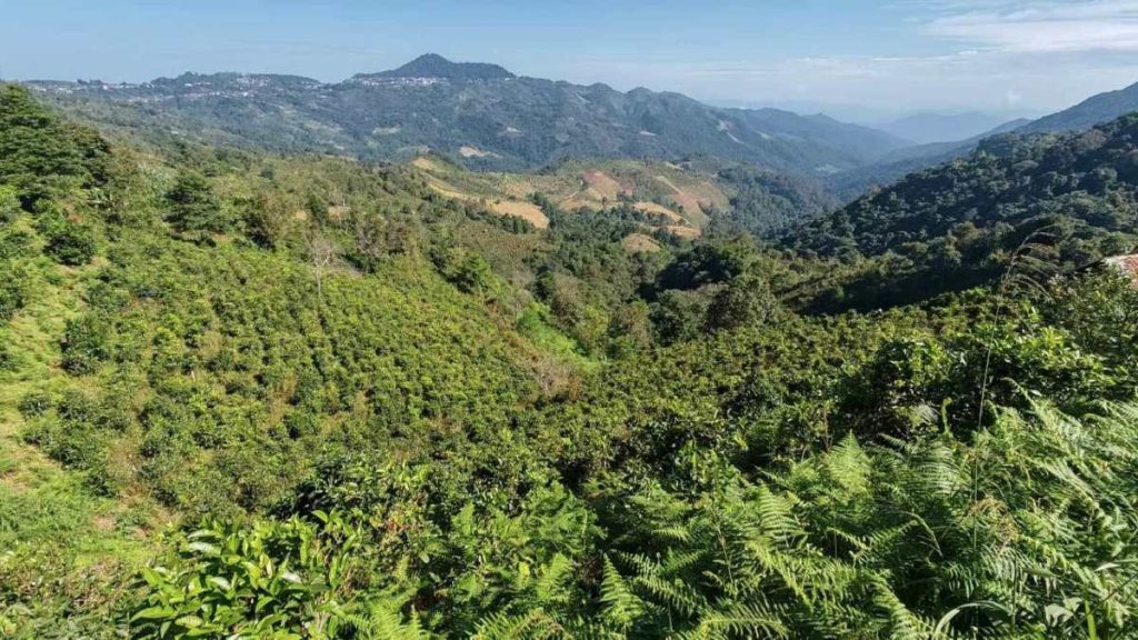 Quand partir au Laos ? Les saisons