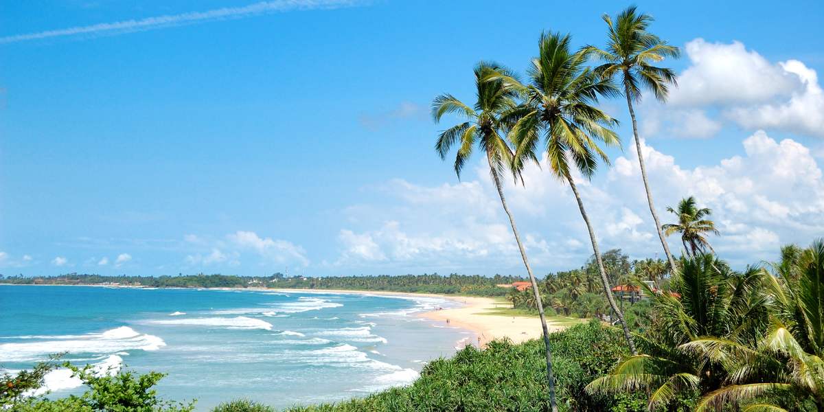 Découvrez le sud du Sri Lanka