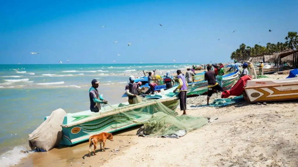 Les pêcheurs de Mannar