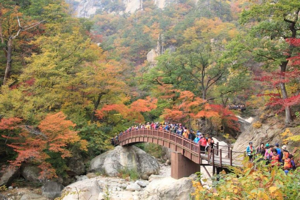seoraksan en automne
