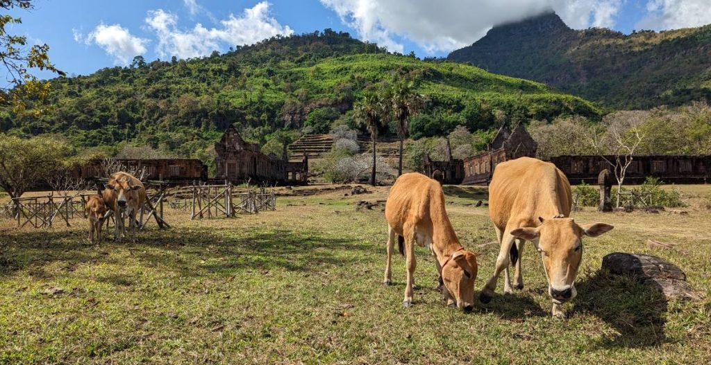 Champassak au sud du Laos