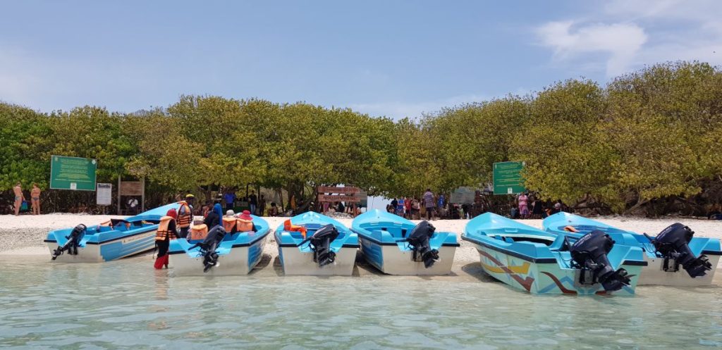 Faire du snorkeling à Pigeon island