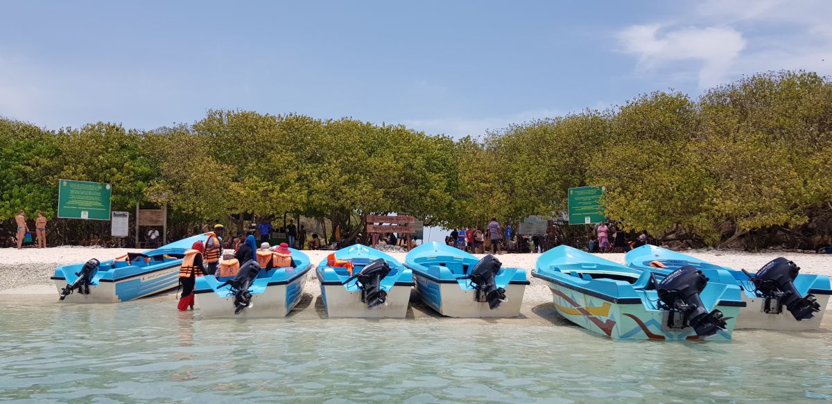 Faire du snorkeling à Pigeon island