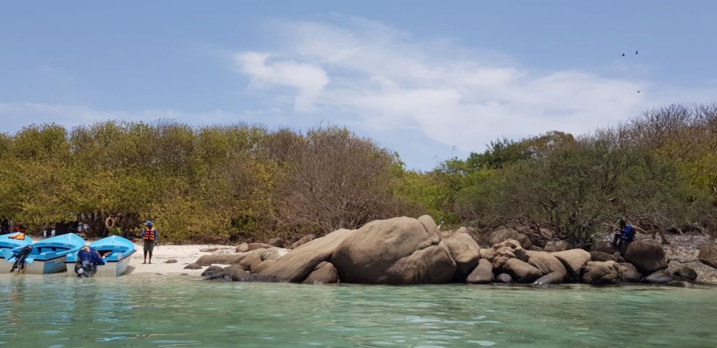 Faire du snorkeling à Pigeon island