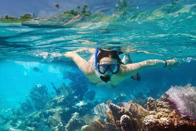 Faire du snorkeling au Sri Lanka
