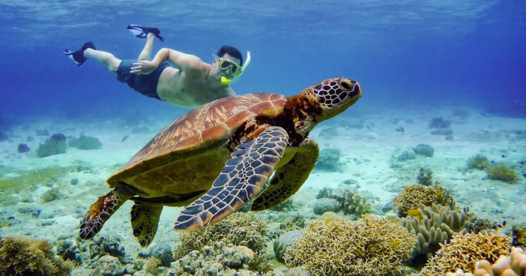 Faire du snorkeling au Sri Lanka