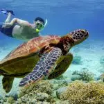 Faire du snorkeling au Sri Lanka