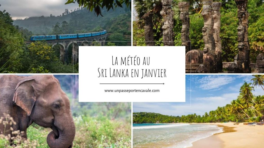 météo au Sri Lanka en janvier
