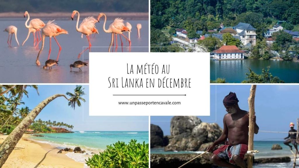 Voyager au Sri Lanka en décembre