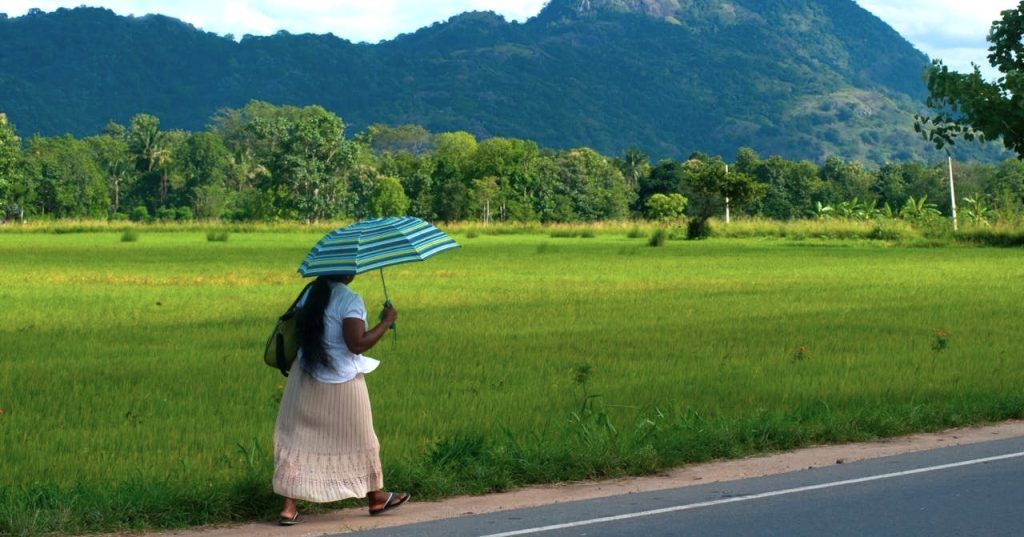 Quand partir au Sri Lanka