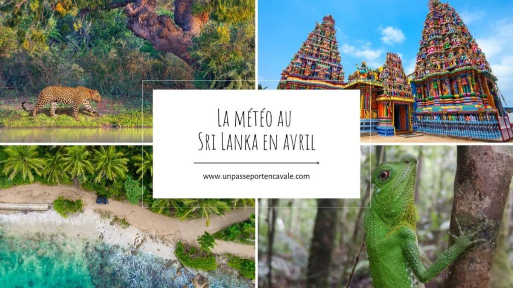 voyager au Sri Lanka en avril