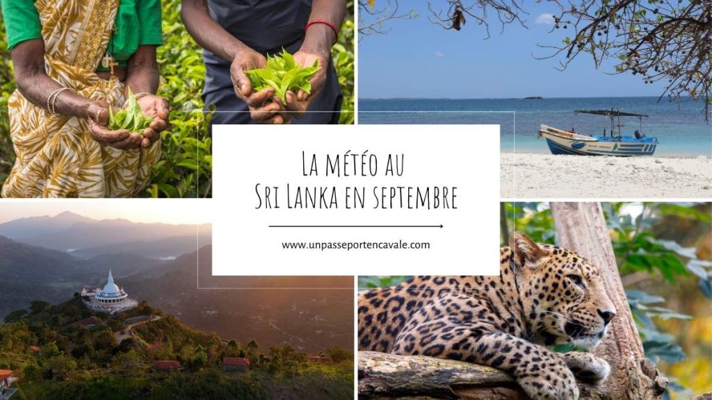 Voyager au Sri Lanka en septembre