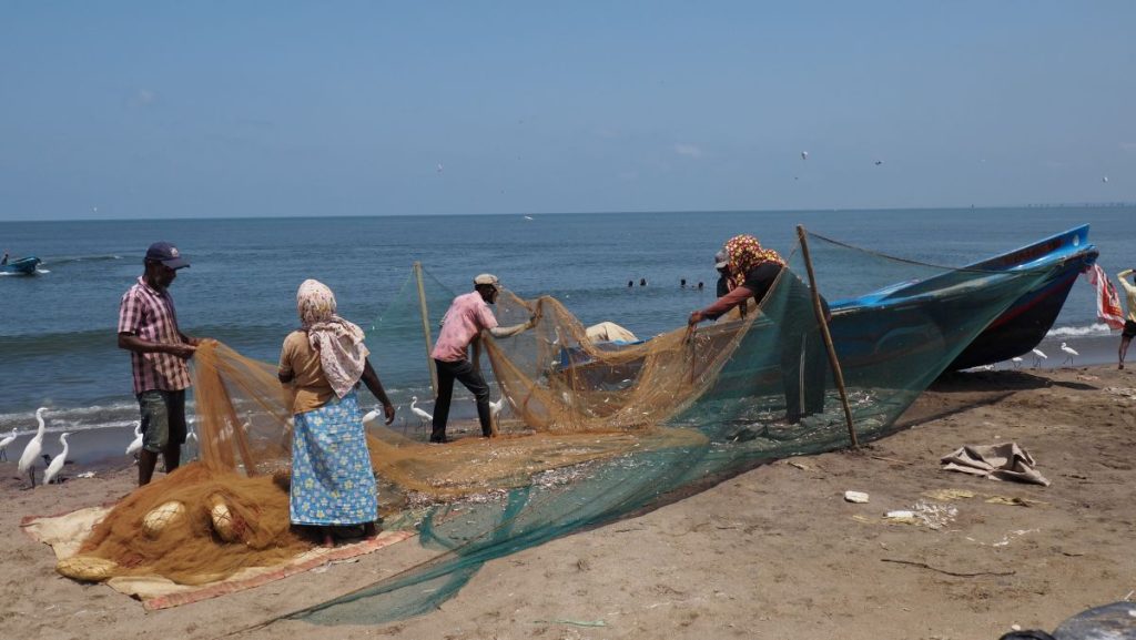 Que faire au Sri Lanka ? Observez les pêcheurs