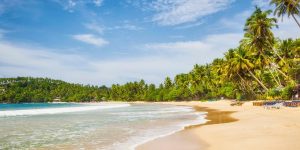 Découvrez la côte est du Sri Lanka
